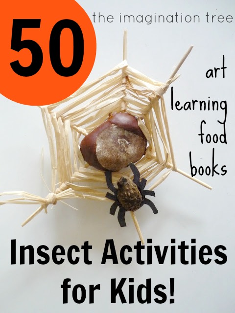 What are some insect activities for kids?